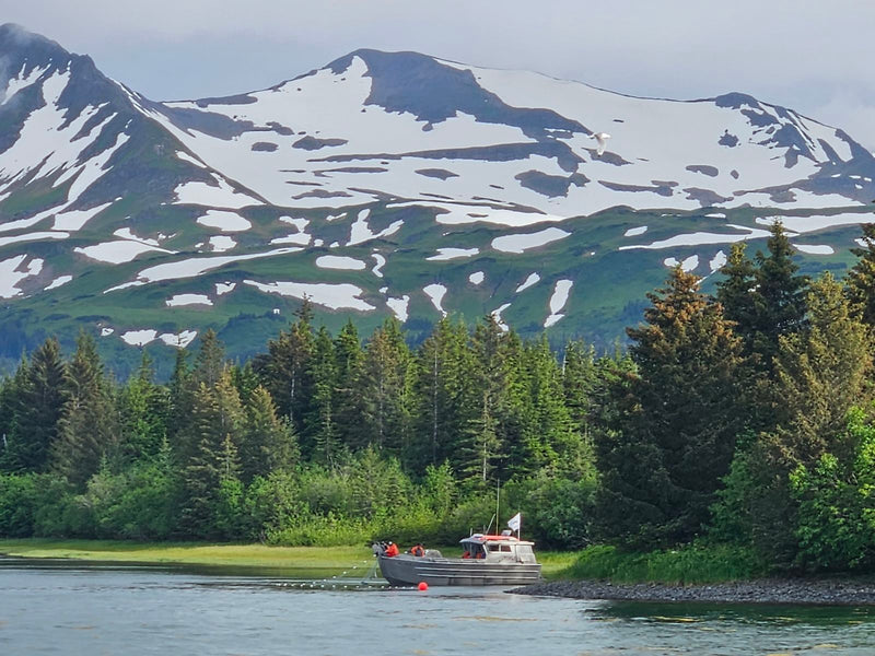 Parker's Wild Alaskan Seafood family fishing boat harvesting wild-caught Alaskan sockeye salmon in pristine glacial waters.