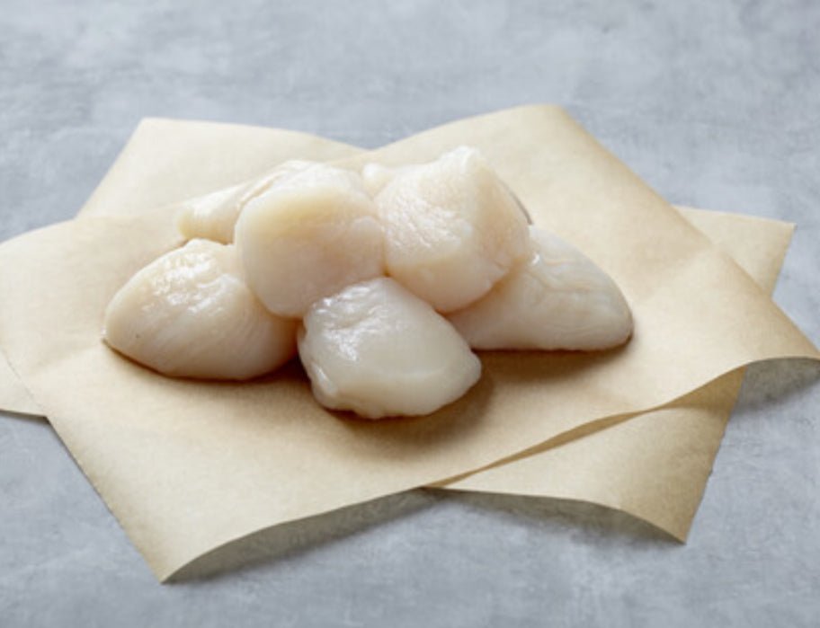 Kodiak Colossal Scallops (10 - 20 count) - Parker's Wild Alaskan Seafood