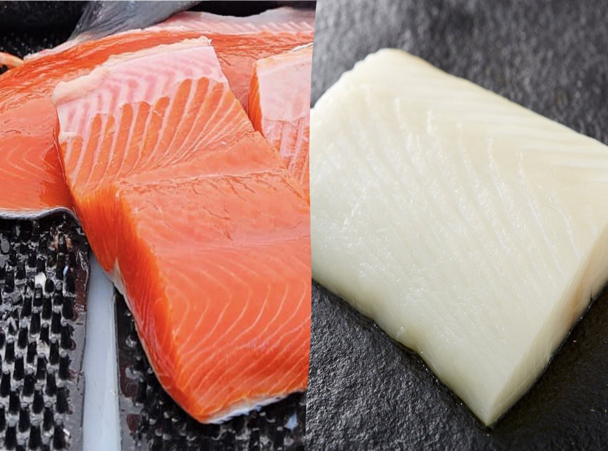 Net & Hook Combo - Parker's Wild Alaskan Seafood